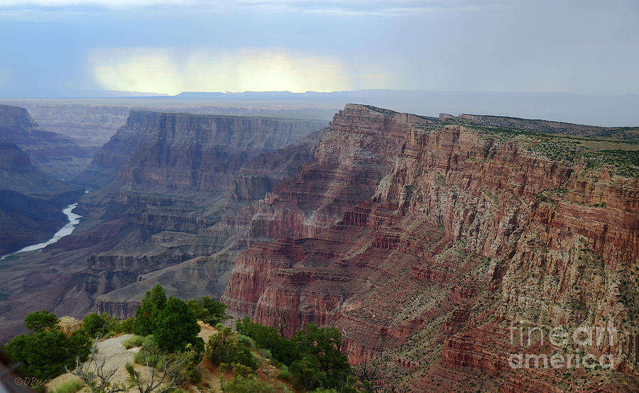 Grand Canyon View from Desert View Watchtower Photograph by Debby Pueschel