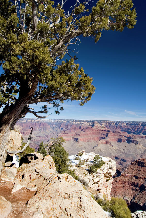Grand Canyon View Photograph by Jenniferphotographyimaging