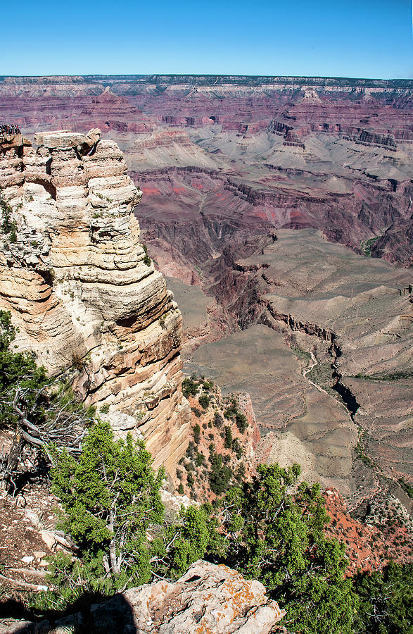 Grand Canyon Vista Photograph by Norman Johnson | Fine Art America