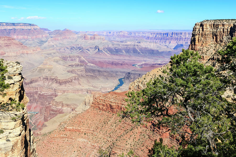 Grand Canyon with Colorado River 2 Photograph by Dawn Richards