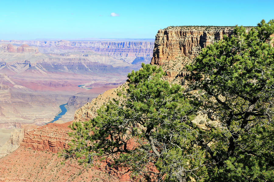 Grand Canyon with Colorado River 3 Photograph by Dawn Richards