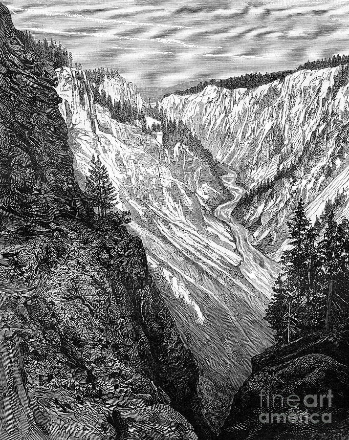 Grand Canyon, Yellowstone National Drawing by Print Collector