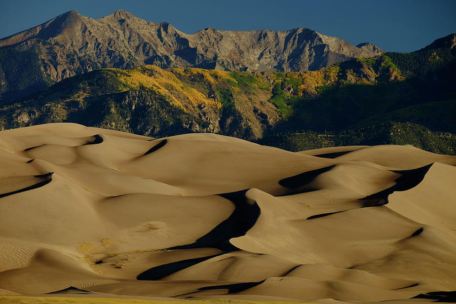 Grand Dunes II Photograph by Johnny Boyd