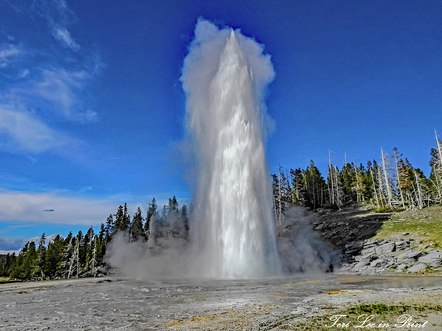 Grand Geyser by Teri Lee Grand Geyser by Teri Lee