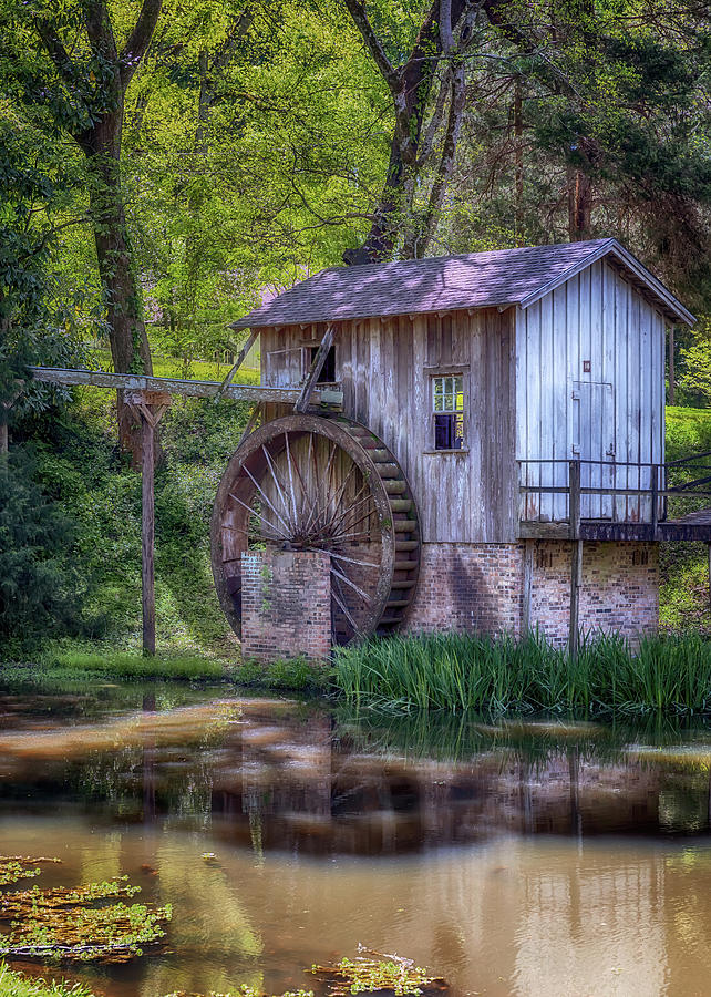 Grand Gulf Waterwheel Photograph by Susan Rissi Tregoning