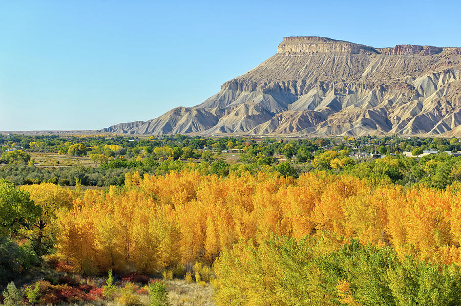 Grand Junction Colorado Fall Colors Photograph by Adventure photo