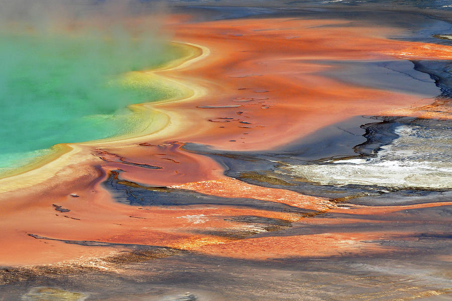 Yellowstone National Park Photograph - Grand Prismatic Spring Runoff by Photo By Mark Willocks
