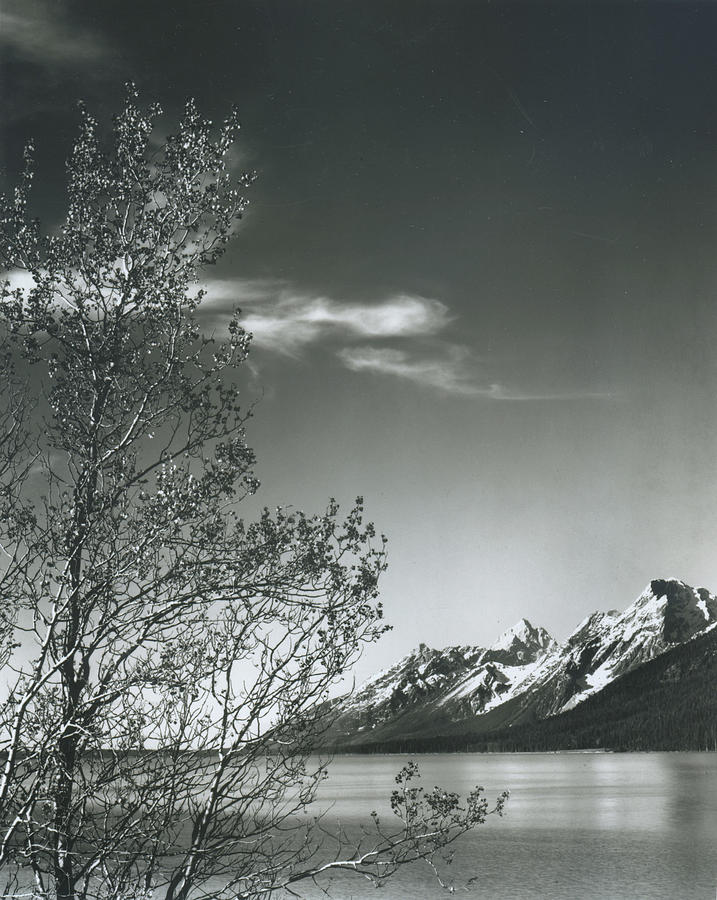 Grand Teton Photograph by Archive Photos