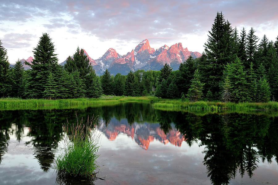 Grand Teton Reflections Over The Beaver Photograph by Steven Ng