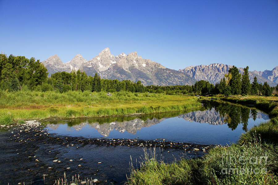 Grand Tetons Beaver Damn Photograph by Phil Cappiali Jr | Fine Art America