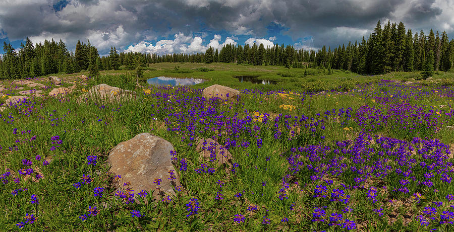 Grand View by Jaquita Watters Grand View by Jaquita Watters