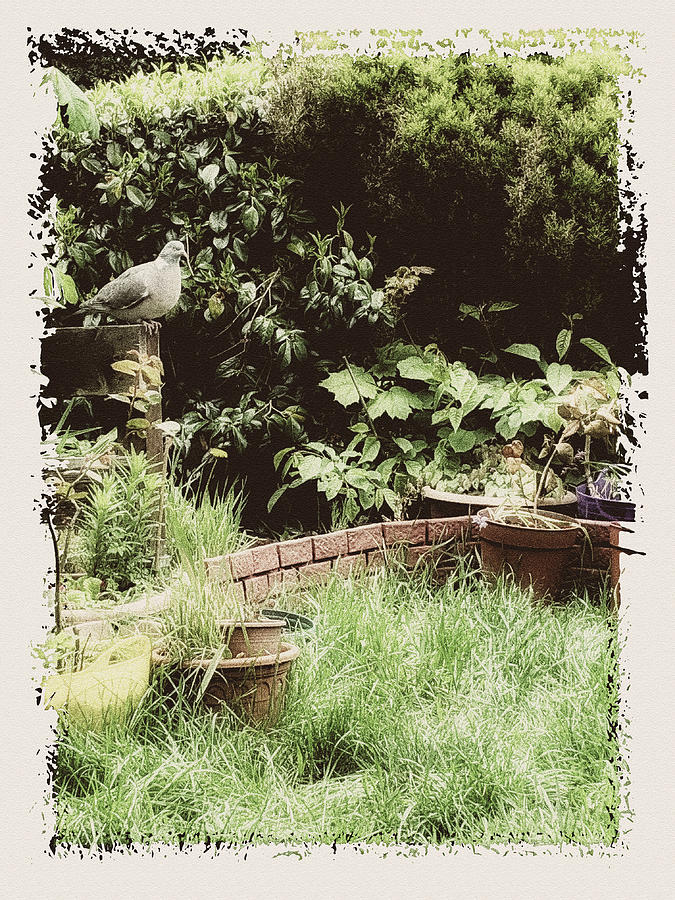 Grandma Garden by Tatiana Travelways Grandma Garden by Tatiana Travelways