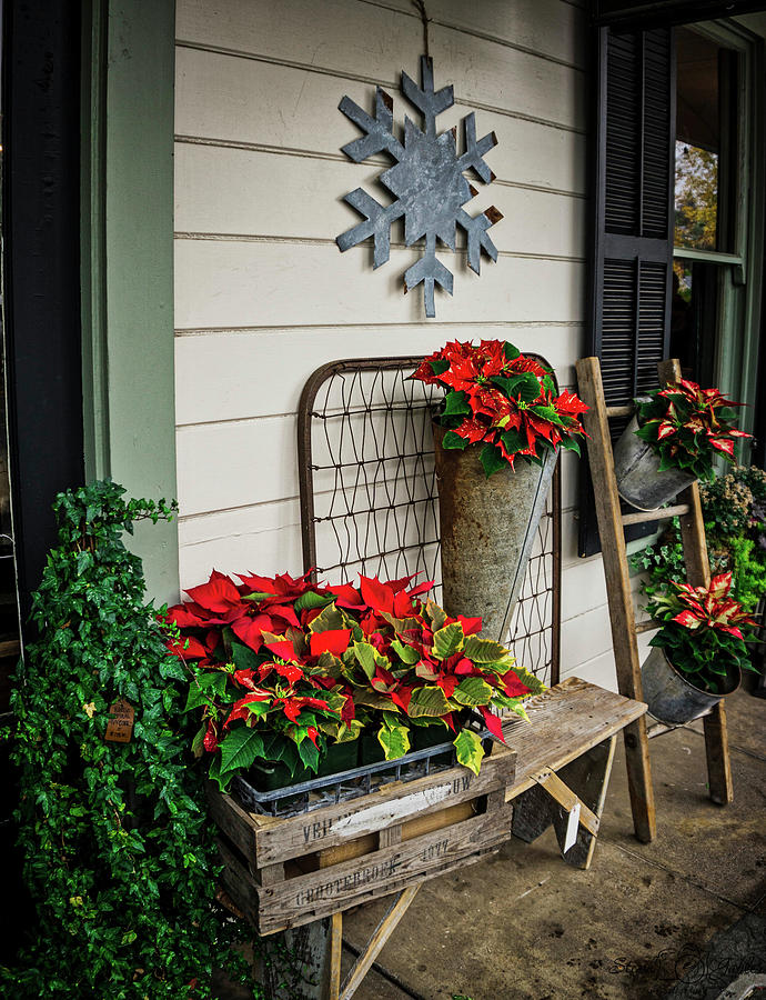 Grandmas Porch Photograph by Steph Gabler