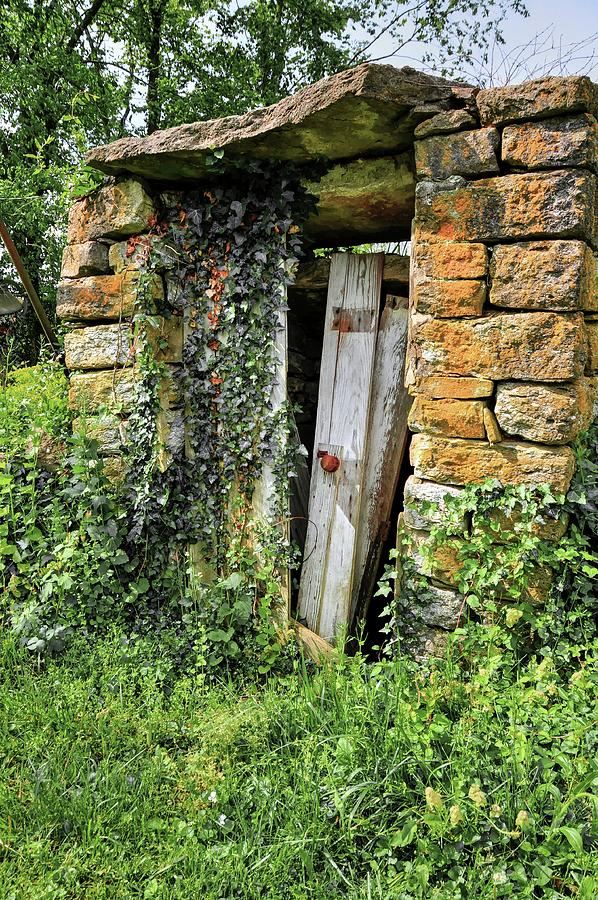 Cellar Photograph - The Old Root Cellar by Randall Dill