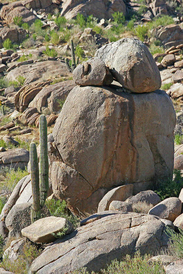 Granite Boulder And Saguaro Cactus Digital Art by Tom Janca