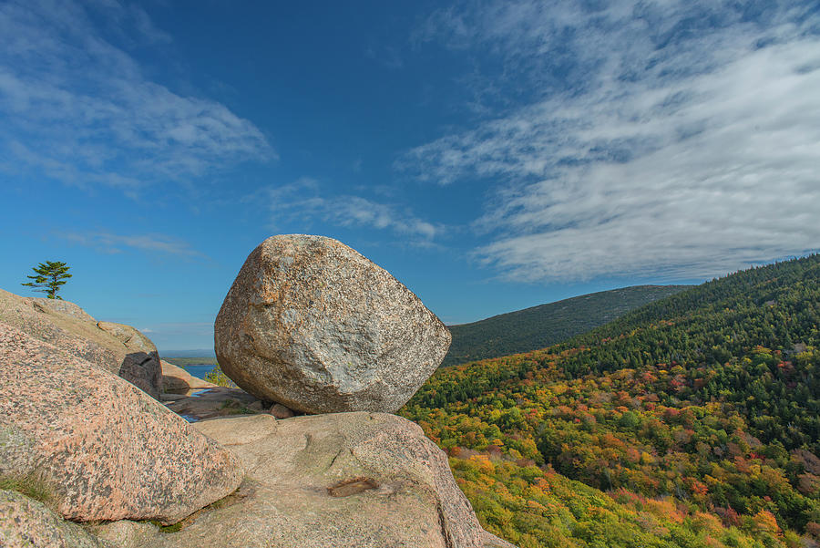 Granite Boulder In Acadia Photograph by Jeff Foott