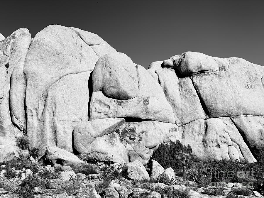 Granite Face Photograph by Sean Griffin