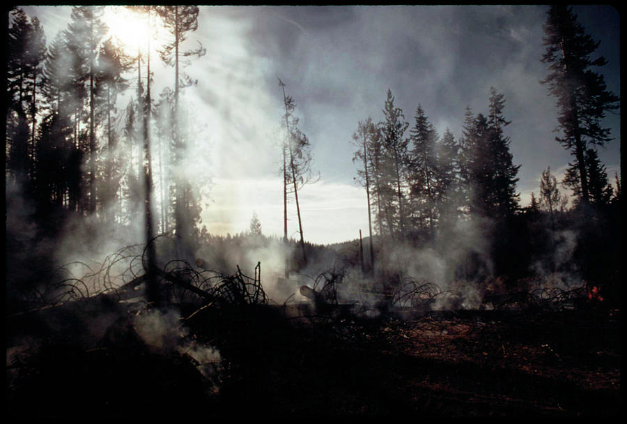 Yosemite National Park Photograph - Granite Fire II by American Eyes