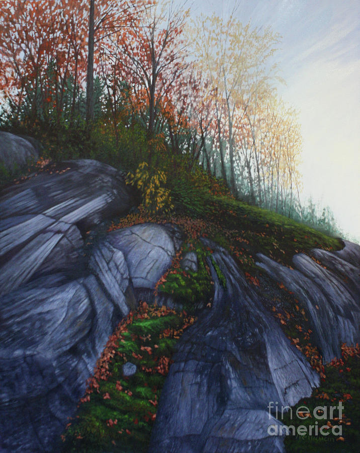 Granites Grasp Painting by Shelley Newman