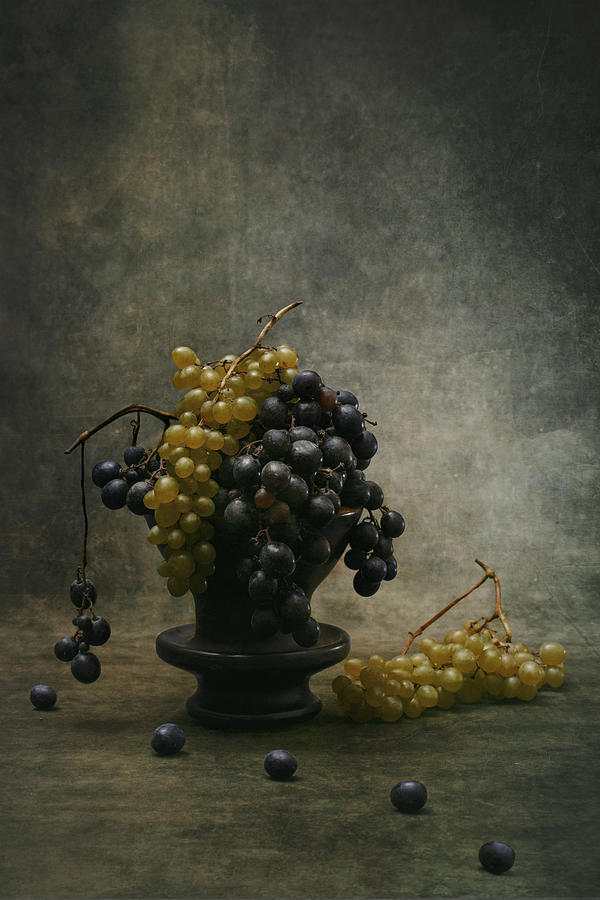 Still Life Photograph - Grape by Brig Barkow