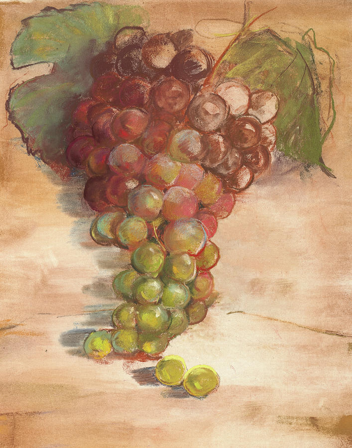 Grape Harvest II No Label Painting by Carol Rowan - Fine Art America