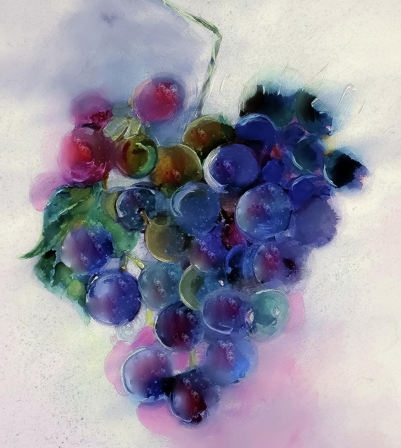 Grape Harvest Watercolor Painting Painting by Lisa Kaiser