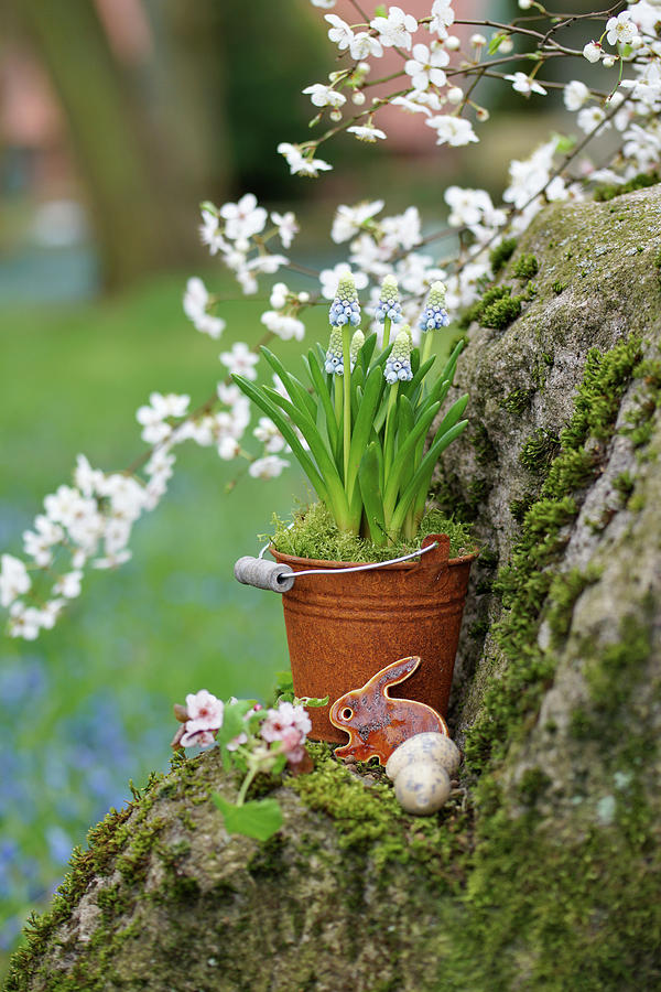 Grape Hyacinths In Small Rusty Bucket, Easter Bunny And Easter Eggs Photograph by Angelica Linnhoff