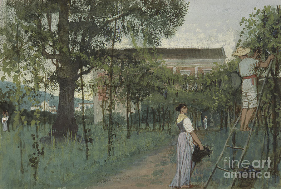 Grape picking Painting by Randolph Caldecott