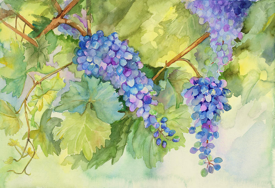 Grape Painting - Grape Vineyard by Joanne Porter