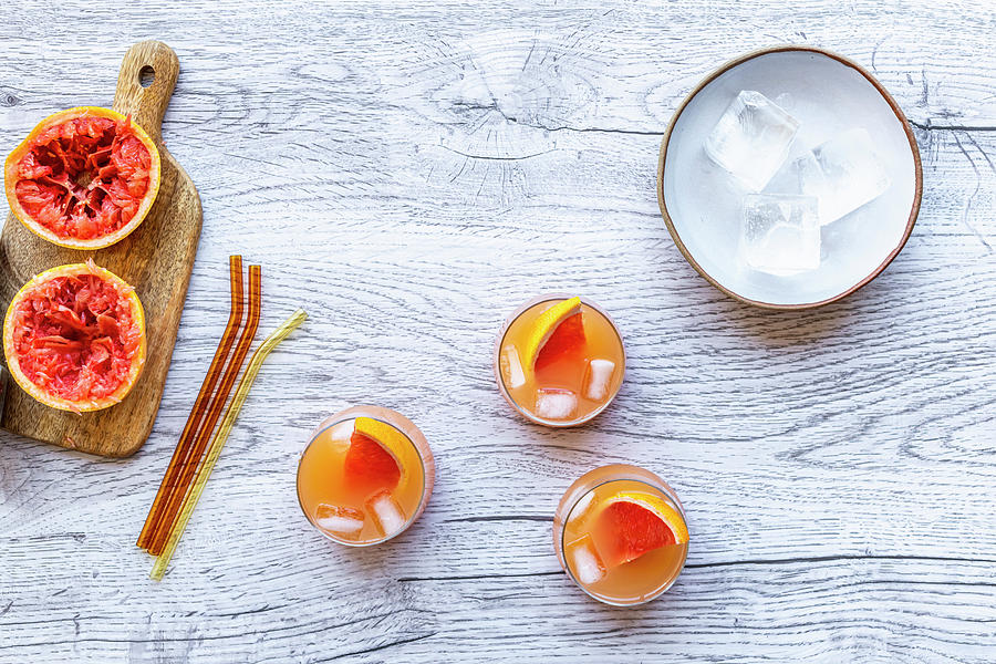 Grapefruit And Vodka Cocktail Photograph By Hein Van Tonder - Fine Art ...