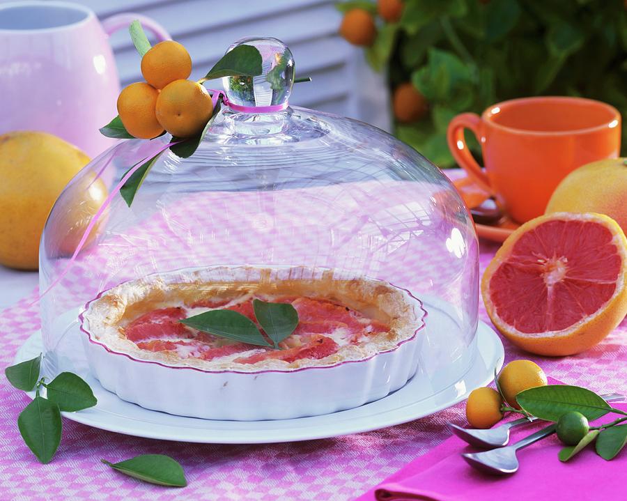 Grapefruit Tart In Tart Dish Under Glass Dome Out Of Doors Photograph by Strauss, Friedrich