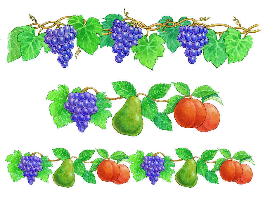 Fruit Painting - Grapes And Fruit Borders by Geraldine Aikman