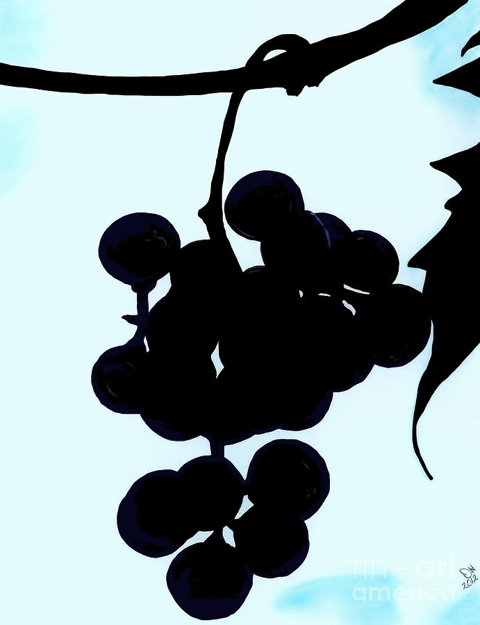 Grapes Drawing by D Hackett