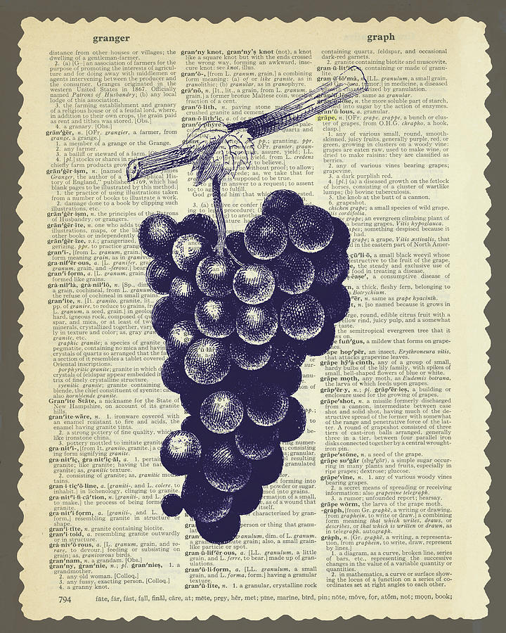 Grape Mixed Media - Grapes by Erin Clark