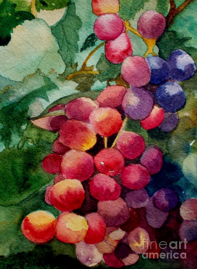 Grapes Painting by Nicole Curreri