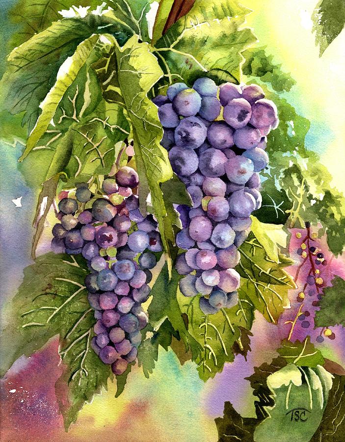 Grapes Painting by Tammy Crawford