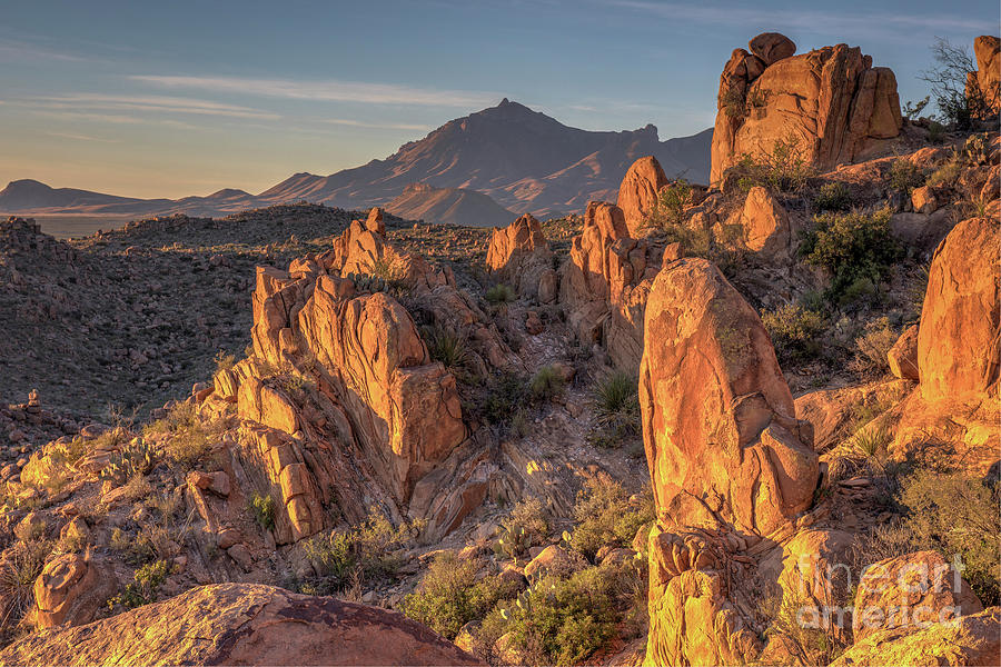 Grapevine Hills by Charles Dobbs Grapevine Hills by Charles Dobbs