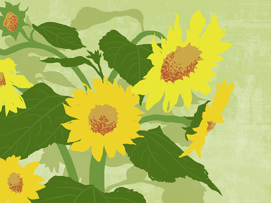 Graphic Illustration Of Sunflowers Digital Art by Don Bishop