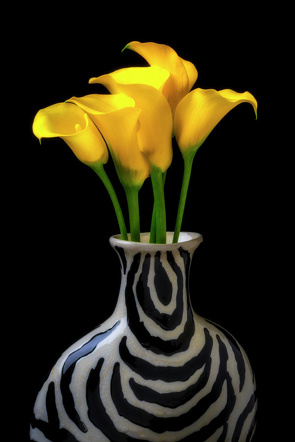 Graphic Vase And Calla lilies Photograph by Garry Gay
