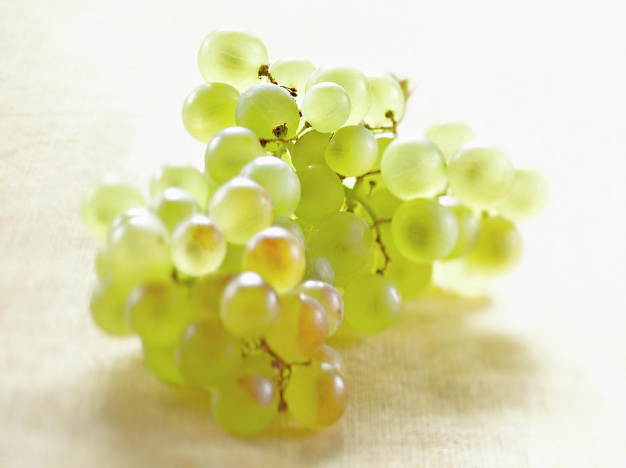 Fruit Photograph - Grappe De Raisin Blanc Bunch Of White Grapes by Studio - Photocuisine