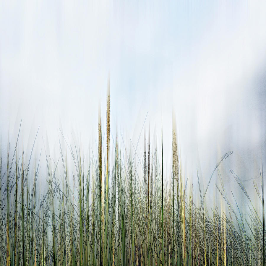 Grass Against Blue Sky Photograph by Ikon Images