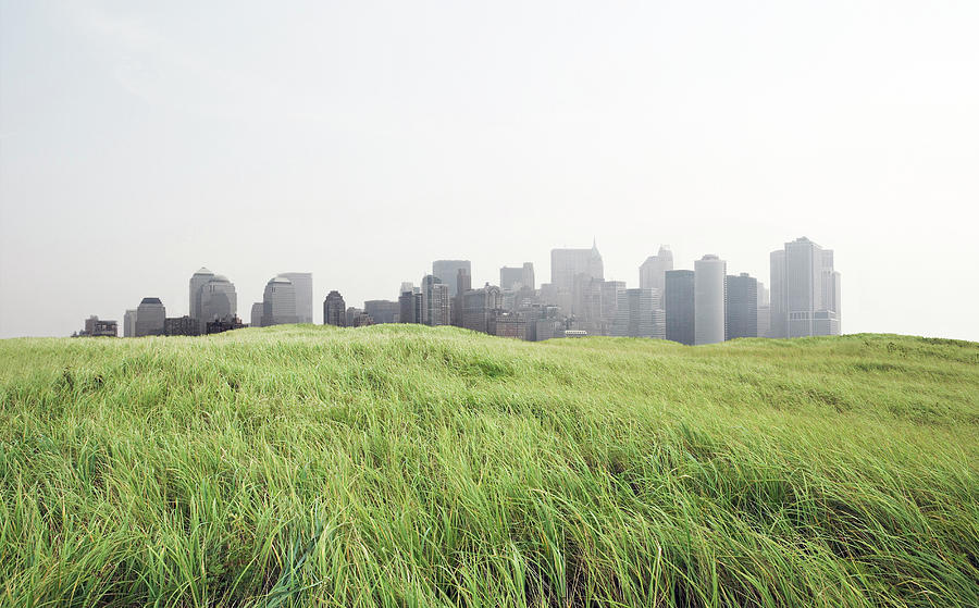 Grass And Cityscape Photograph by Richard Newstead
