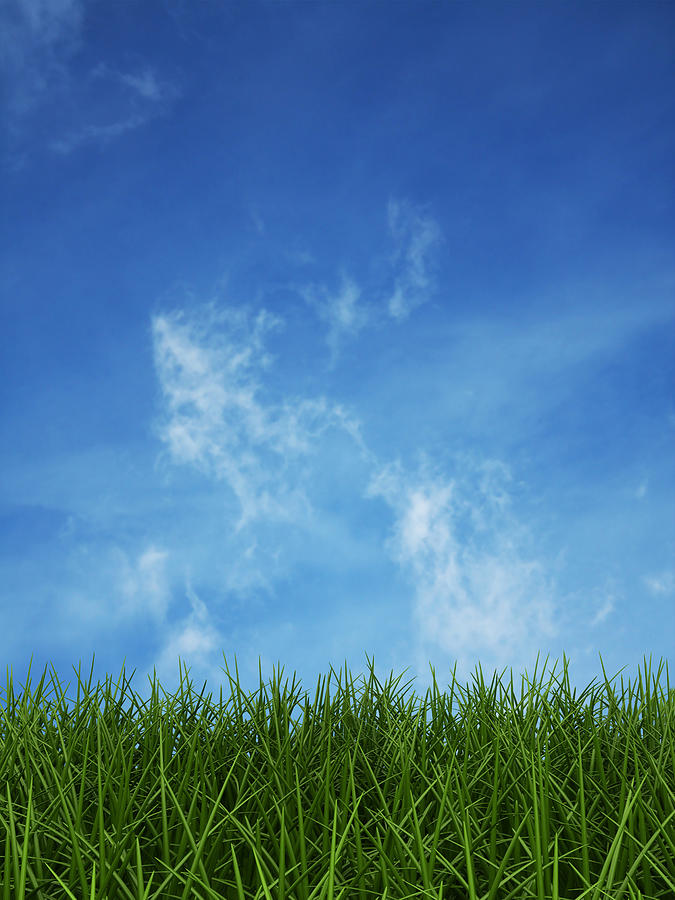 Grass And Sky Photograph by Pagadesign