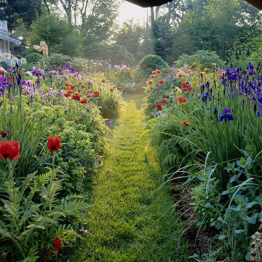 Grass Path With Perennial Border Photograph by Richard Felber Grass Path With Perennial Border Photograph by Richard Felber