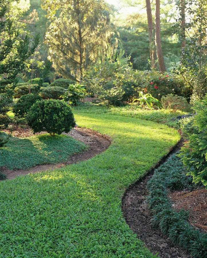 Grass Pathway In Garden Photograph by Evan Sklar - Fine Art America