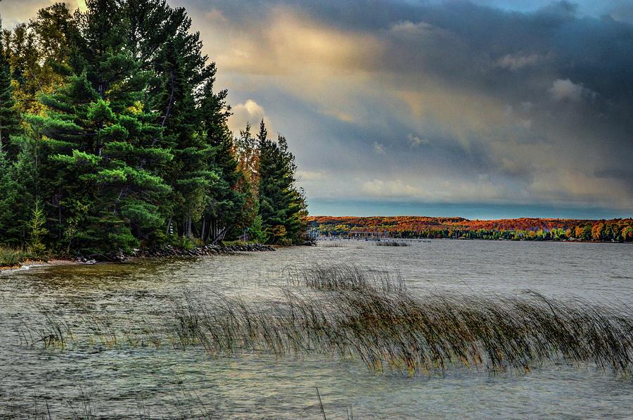 Grasses and the Fall Color DSC_0669 Photograph by Michael Thomas