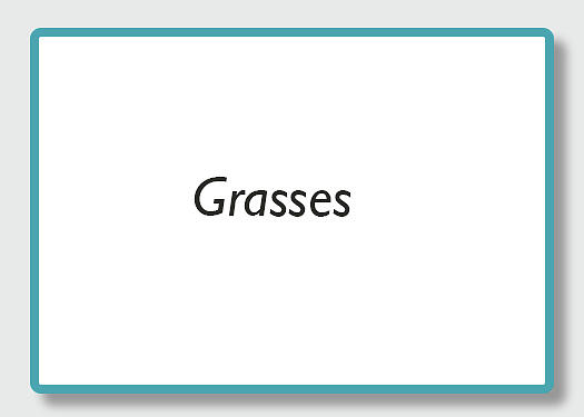 Grasses by Kathy Adams Clark Grasses by Kathy Adams Clark