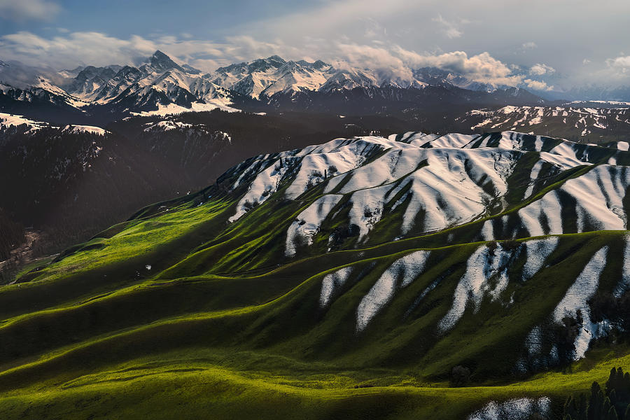 Grassland Highlands And Snowmountains Photograph by Yuhan Liao