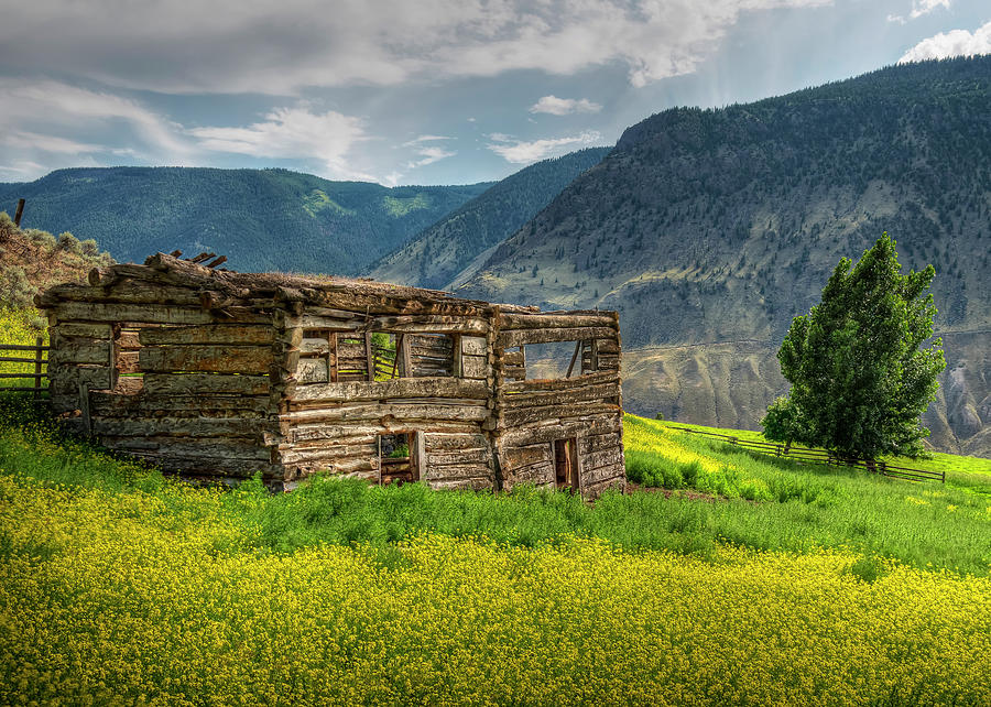 Grasslands Cabin Photograph by Doug Matthews