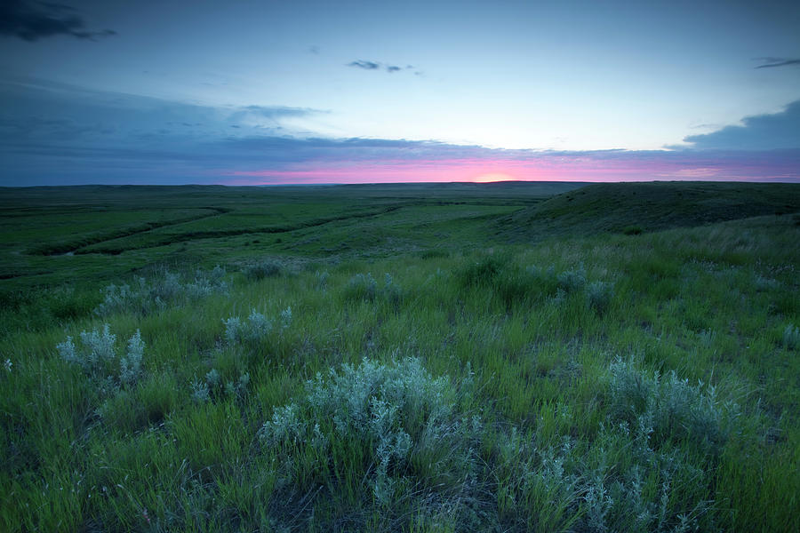 Grasslands National Park Photograph by Mysticenergy